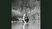 DSA Environment + Design